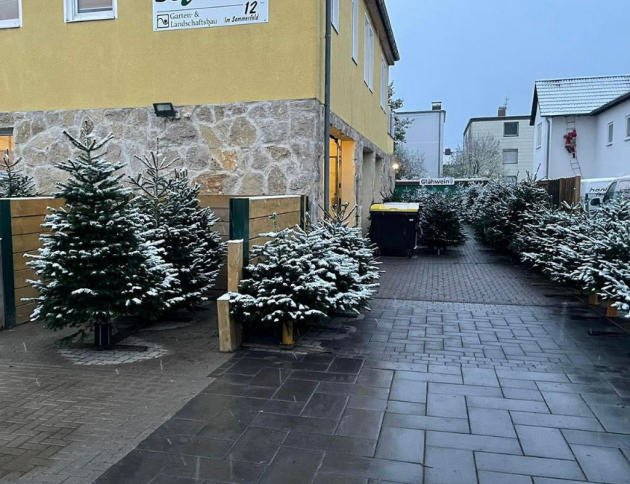 seidel-weihnachtsbäume-wolfenbüttel
